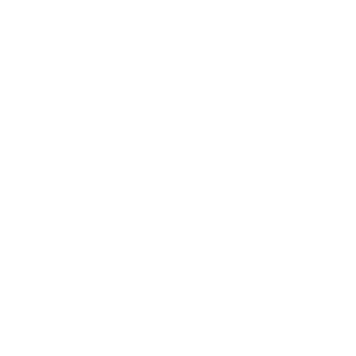 https://irceremony.ir/wp-content/uploads/2018/05/gemini.png