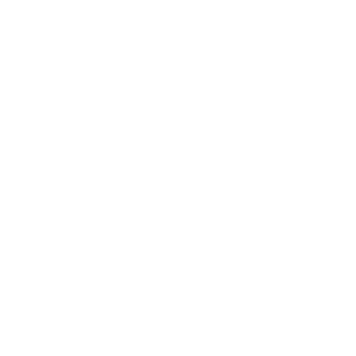 https://irceremony.ir/wp-content/uploads/2018/05/leo.png